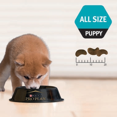 PRO PLAN Puppy All Size Sensitive Digestion Lamb and Rice
