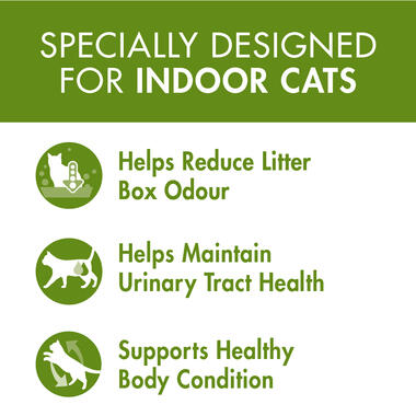 PURINA ONE® Wet Cat Indoor Advantage with Chicken
