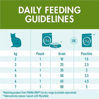 PURINA ONE® Wet Cat Indoor Advantage with Chicken