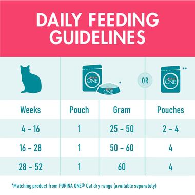 PURINA ONE® Wet Healthy Kitten with Chicken