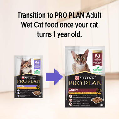 PRO PLAN Kitten Tender Pieces with Chicken in Jelly Wet Cat Food