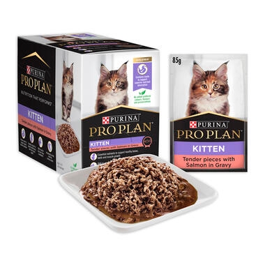 PRO PLAN® Kitten Tender Pieces with Salmon in Gravy