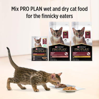 PRO PLAN Tender Pieces with Chicken in Gravy Wet Cat Food