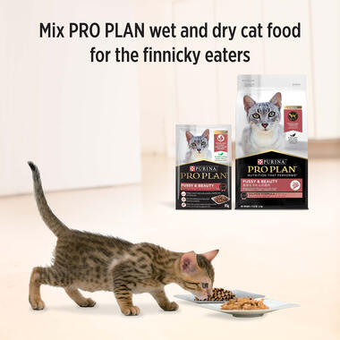 PRO PLAN Fussy Beauty Tender Pieces with Salmon in Gravy Wet Cat Food