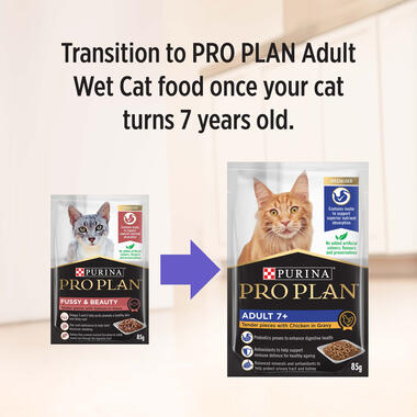 PRO PLAN Fussy Beauty Tender Pieces with Salmon in Gravy Wet Cat Food