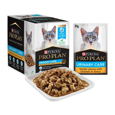 PRO PLAN Urinary Tract Health Tender Pieces with Chicken in Gravy Wet Cat Food
