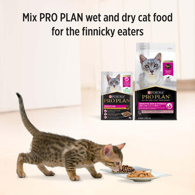 PRO PLAN® Sensitive Tender Pieces with Chicken in Gravy