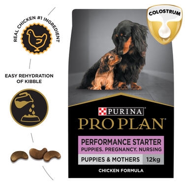 PRO PLAN Puppies & Mothers Performance Starter Chicken Formula with Colostrum Dry Dog Food
