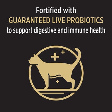 PRO PLAN® Adult 7+ Salmon & Tuna Formula Dry Cat Food Guaranteed live probiotics