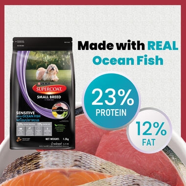 SUPERCOAT® Adult Small Breed Sensitive Ocean Fish – Dry Dog Food