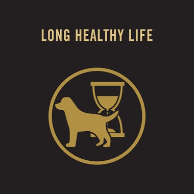 Long healthy live