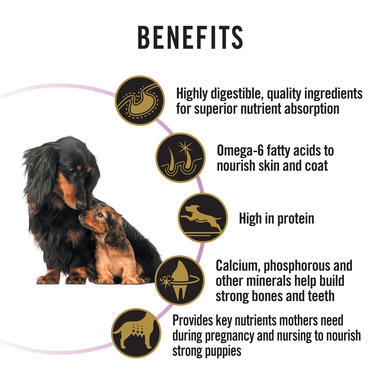 PRO PLAN Puppies & Mothers Performance Starter ChickenPRO PLAN Puppies & Mothers Performance Starter benefits