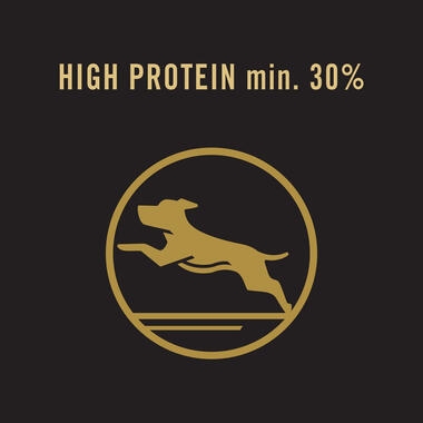 high protein
