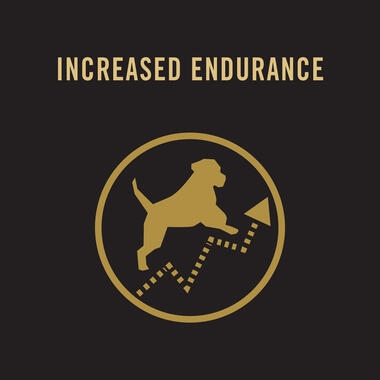 Increased endurance