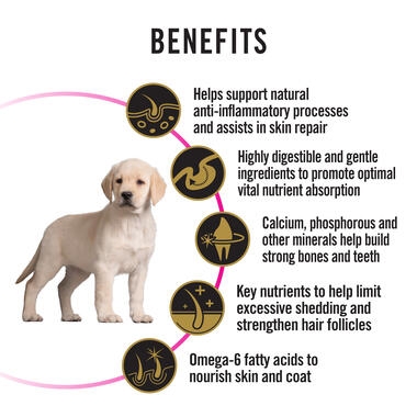 PRO PLAN Puppy Sensitive Skin & Stomach Salmon & Mackerel Formula with Prebiotic Fibre Benefits