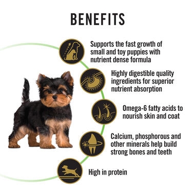 PRO PLAN Puppy Small & Toy Chicken Formula with Colostrum and Probiotics - Dry Dog Food