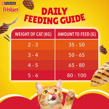 daily feeding guide