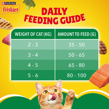 Indoor Daily Feeding Guide
