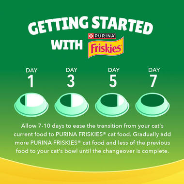 Getting started with Friskies Indoor delights