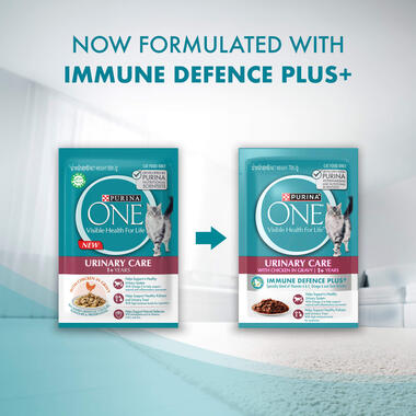 Wet Cat Urinary Care Immune Defence Plus