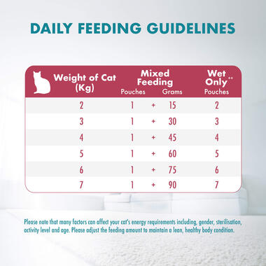 Wet Cat Urinary Care feeding guide