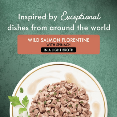 Fancy Feast Medleys Wild Salmon Florentine With Spinach in a Light Broth