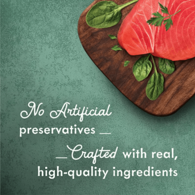 Fancy Feast Medleys Tuna Tuscany With Long Grain Rice & Spinach in a Savory Sauce