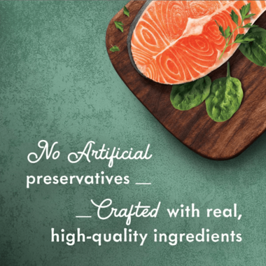 Fancy Feast Medleys Wild Salmon Florentine With Spinach in a Light Broth