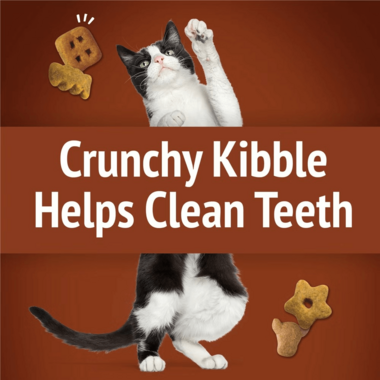 FRISKIES Party Mix Wild West Crunch Beef, Liver & Cheddar Flavors Cat Treats