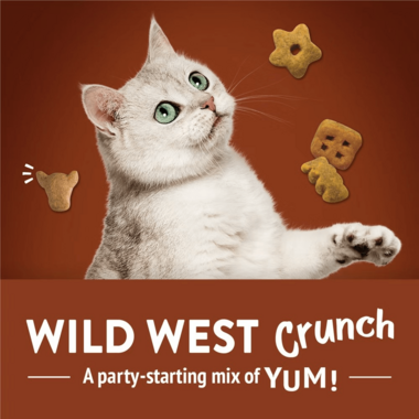 FRISKIES Party Mix Wild West Crunch Beef, Liver & Cheddar Flavors Cat Treats