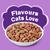 FRISKIES Surfin Favourites Dry Cat Food