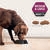 PRO PLAN Bright Mind Medium & Large Adult Chicken