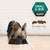 PRO PLAN Puppy Small & Mini Chicken