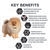 PRO PLAN Puppy All Size Sensitive Skin and Coat Salmon - Dry Dog Food
