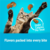 FRISKIES Party Mix Lobster & Mac ‘N’ Cheese Flavors Cat Treats