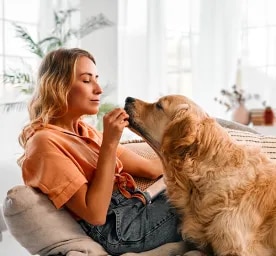 Can Dogs Eat Ginger