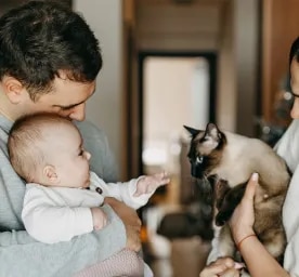 How to Safely Introduce Cats and Babies for the First Time