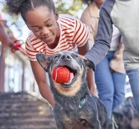 Pet Adoption Interview – Aileen’s Experience
