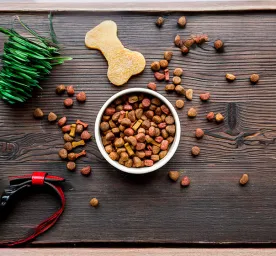 What’s in Dog Food