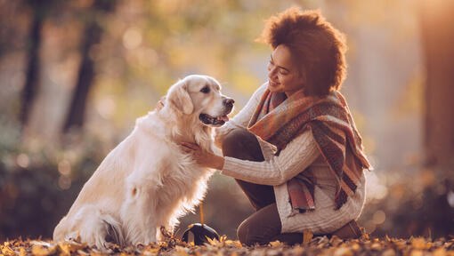 women with golden retriever in the park