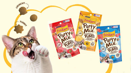 Friskies Yums banner