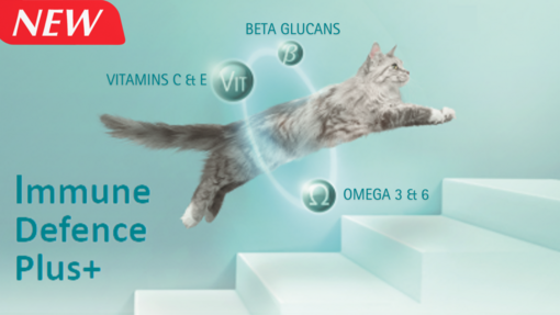 Purina One cat