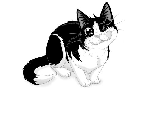 Felix brand black and white cat