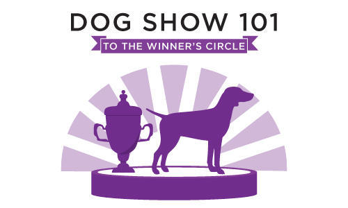Dog Show 101