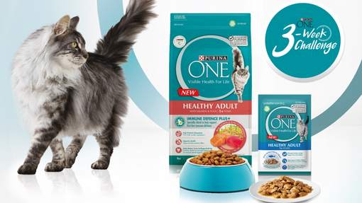 Purina One cat