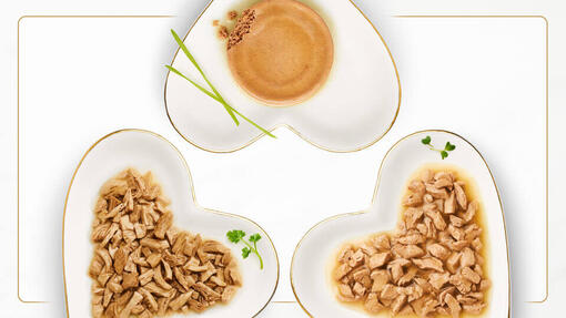 PU_Fancy_Feast_SG_Website Banner-2_960x540px
