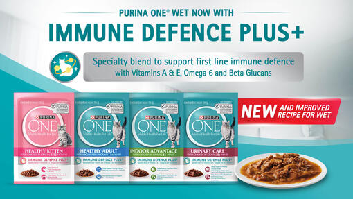 AOA_PU_SG_PURINA ONE_Website Banner