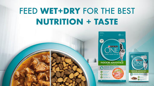 AOA_PU_SG_PURINA ONE_Website Banner2