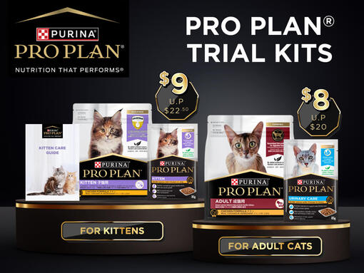 PRO PLAN Banner