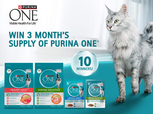AOA_PU_SG_Purina-ONE